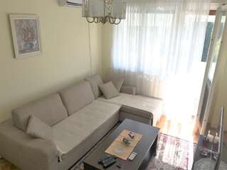 Апартаменты SunFlat Podgorica - Novakovic Residence Подгорица Апартаменты с 1 спальней-30